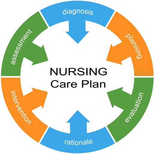 Writing a Care Plan