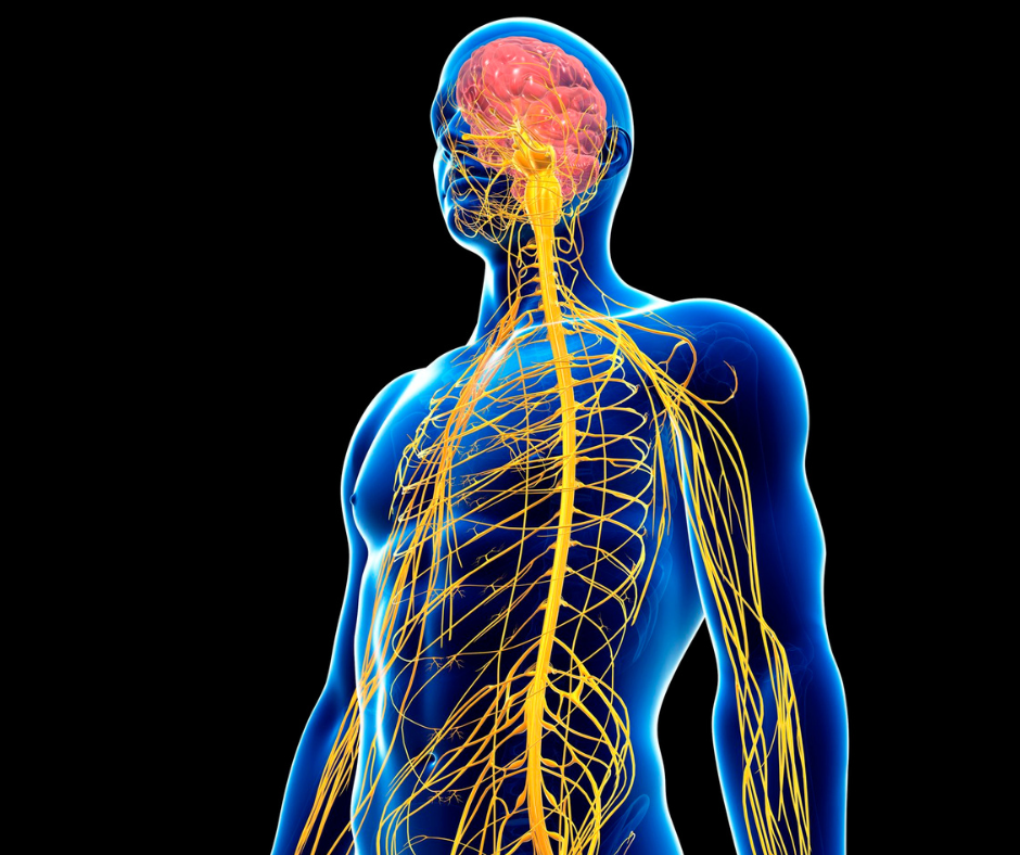 Multiple Sclerosis