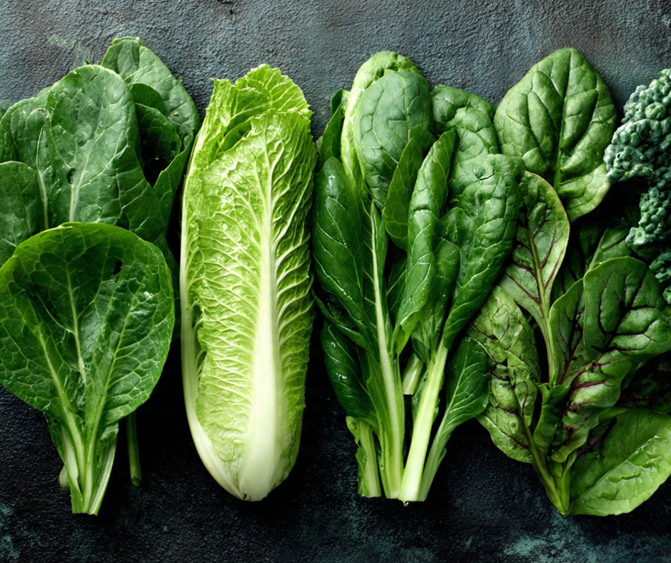 brain foods