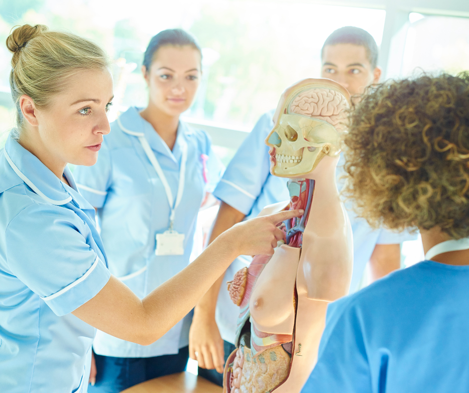 Why Providers Love